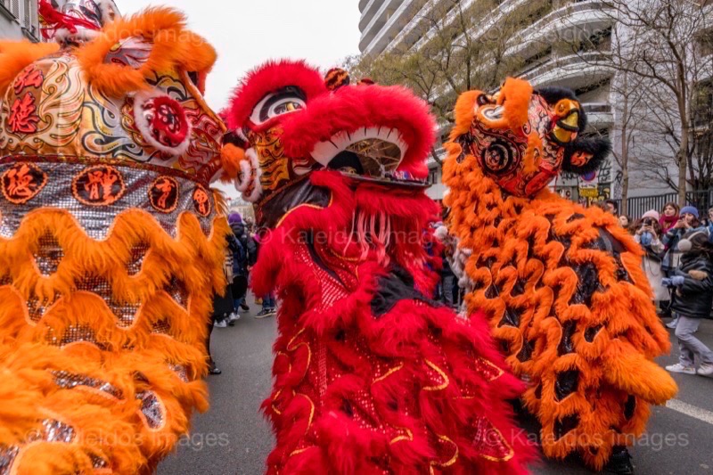 Belleville;Chinese New Year;Crowds;Kaleidos images;La parole à l'image;Lion dance;Lions;Paris;Paris 19;Paris XIX;Tarek Charara